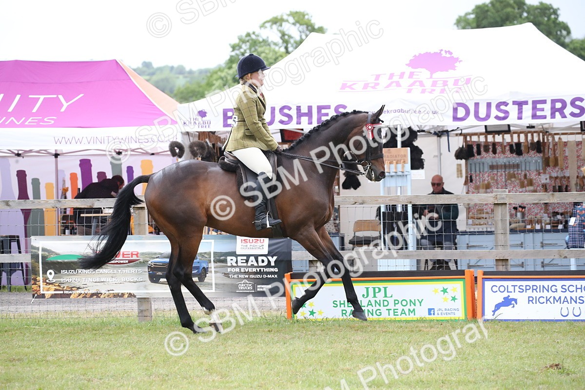 SBM_11429 - Class 94 - LIHS BSHA Racehorse to Showhorse
