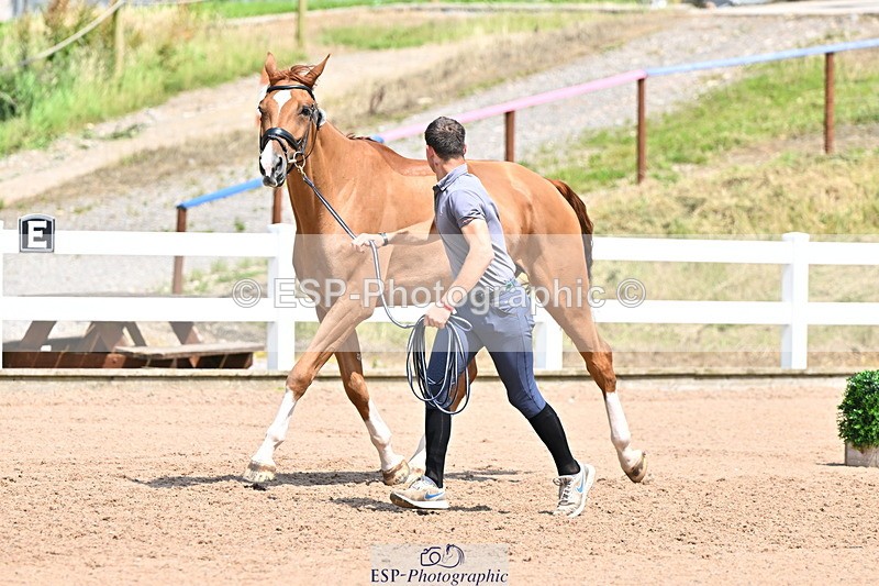 240718A-105319-01847 - Trot Up 1pm to 2pm