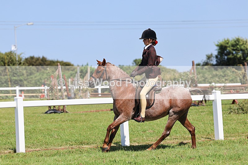 IMG_2003 - Class 34: Show Hunter Pony 153cm and under