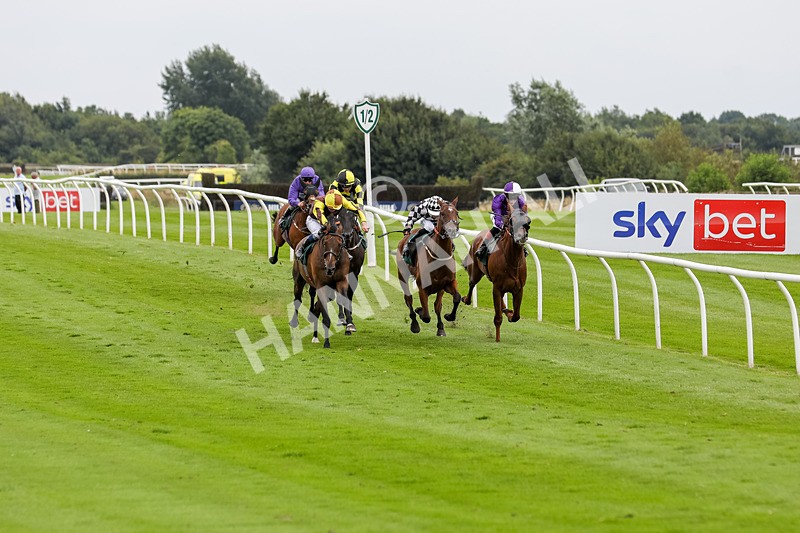 240724-Race 5-Furzig-3593 - Race 5