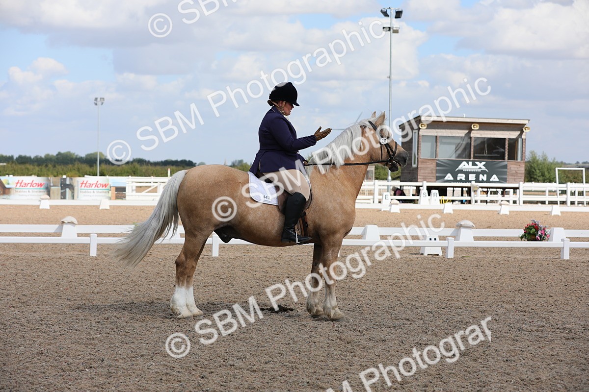 SBM_04044 - Class 31 Prelim 1