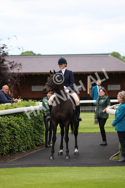 yr22052022r8e-45 - ROR - Parade Ring York