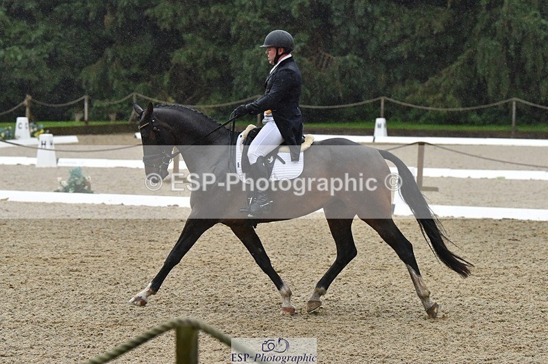 231018-153636-00830 - 011-BIG.QUERLYBET.K.Z-Paul.Whitehead-DR