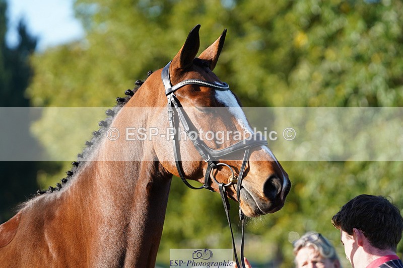 241026-100428-11582 - 013-Cameron.Beer-GREENLANES.LE.BAMBALOU