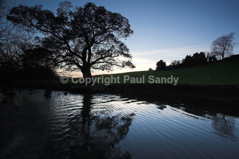River Culm at dusk, Rewe, Devon - Featured Images