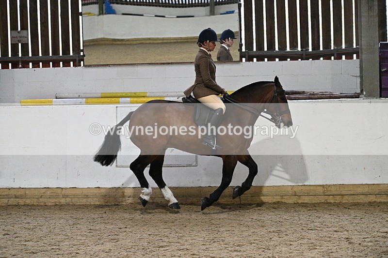 WJ7_3900 - Class 17 Ridden Cob