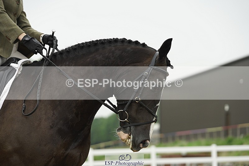 230708A-114122-01001 - Novice 30