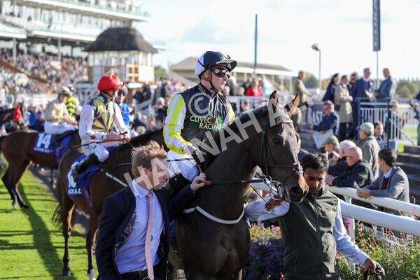 yr08102022r4-12 - Race 4 3.15pm The Coral Sprint Trophy