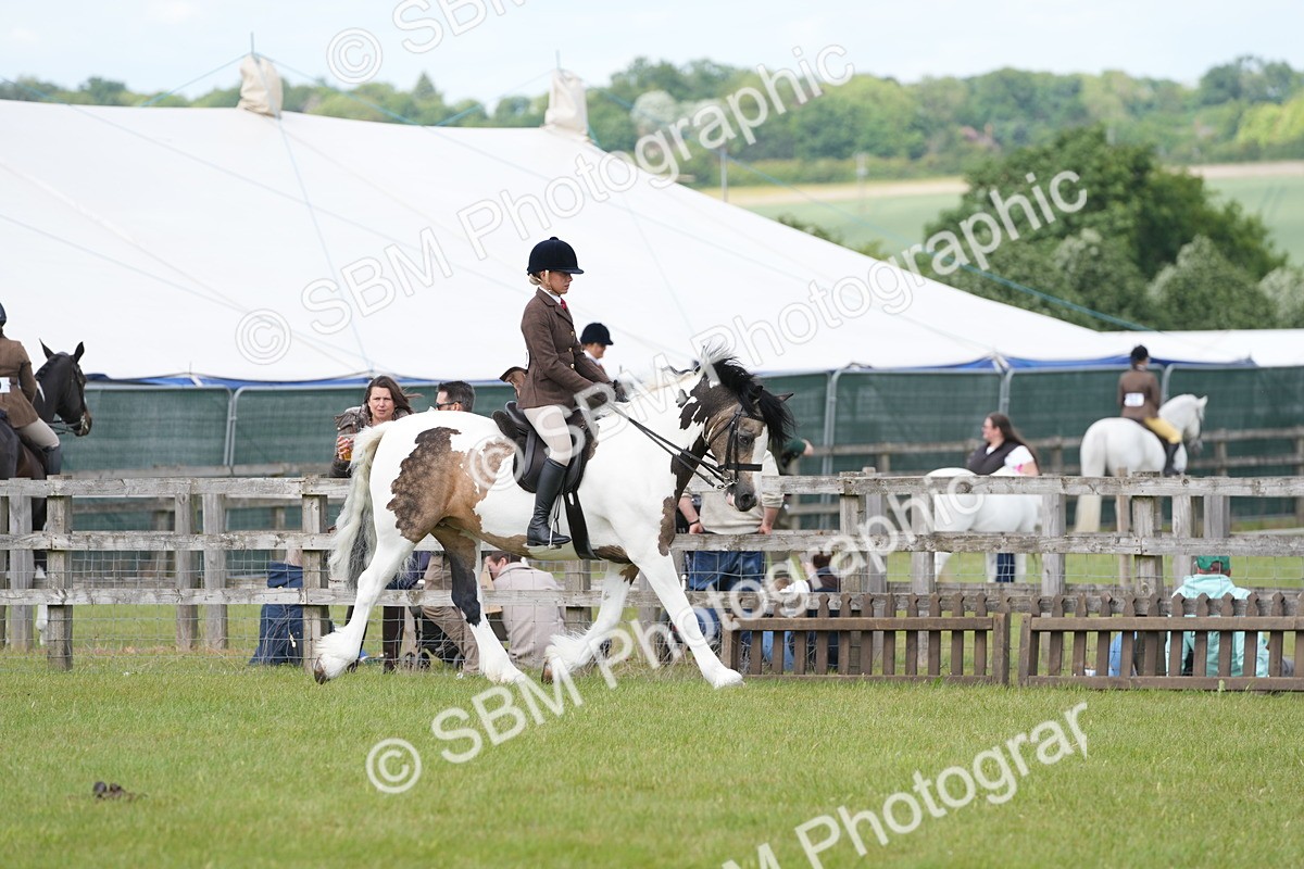 SBM_17221 - Class 107-108 - LIHS BSPS Performance Coloured Horse Pony