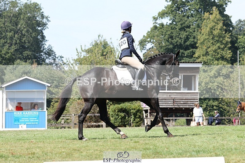 250823A-122413-29495 - Arena D