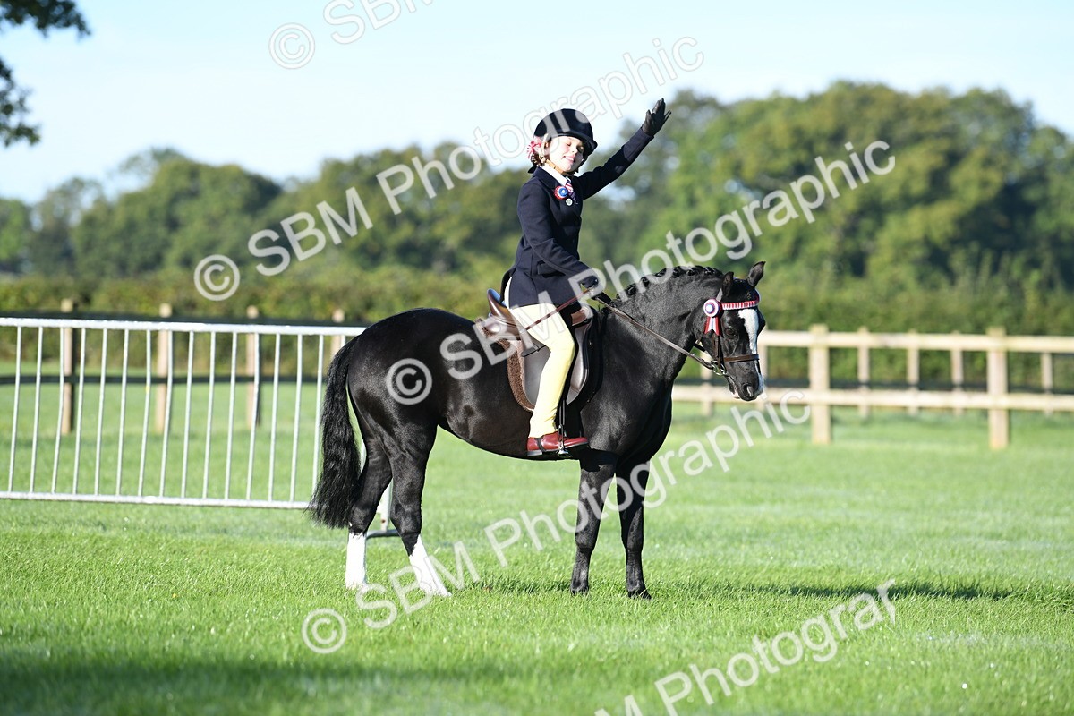 SBM_33979 - S16 - Condition & Turnout - Ridden