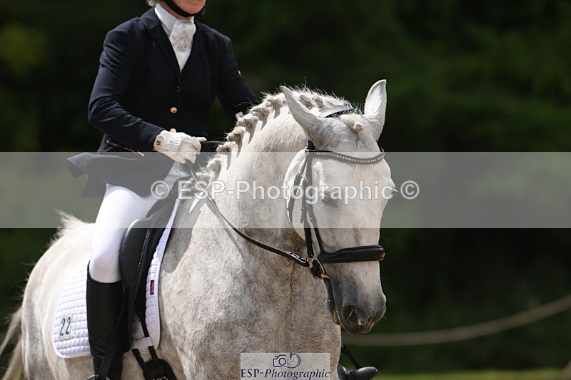 250720A-123242-10347 - 022-Vanessa.Capps-Catch.the.Moment