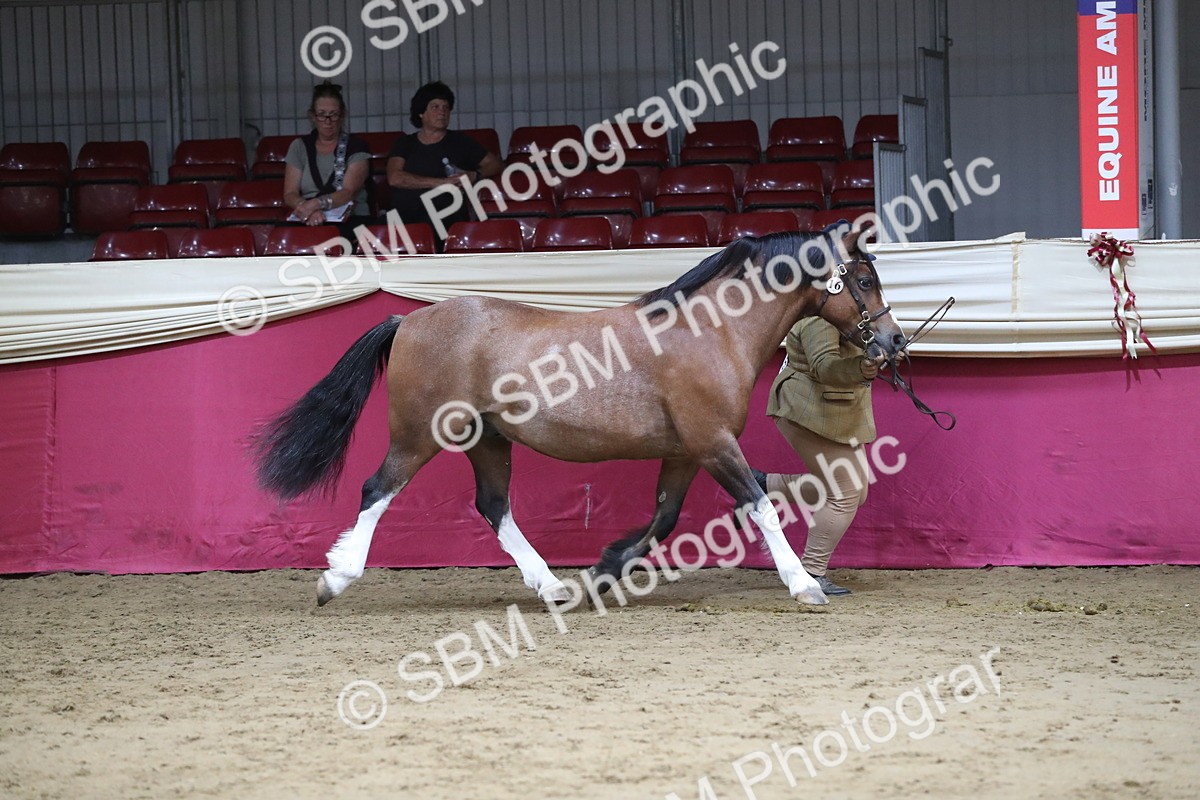SBM_06333 - Class 9R Regional- IH Pre Vet