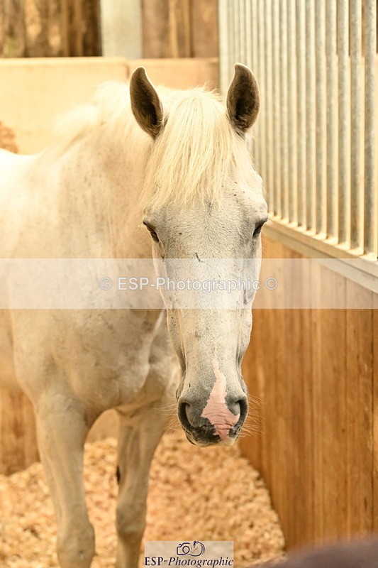 250821B-141219-00494 - Stable Shots and Group Photo