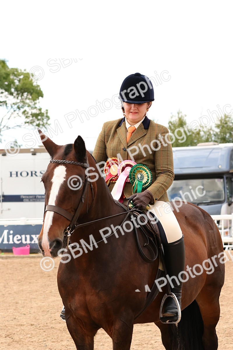 SBM_15604 - Class 214 - Ridden Show Cob