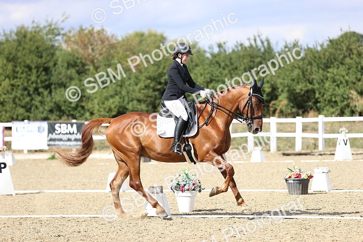 SBM_015256 - Class 5 - E5 Bronze 14.42.15.54