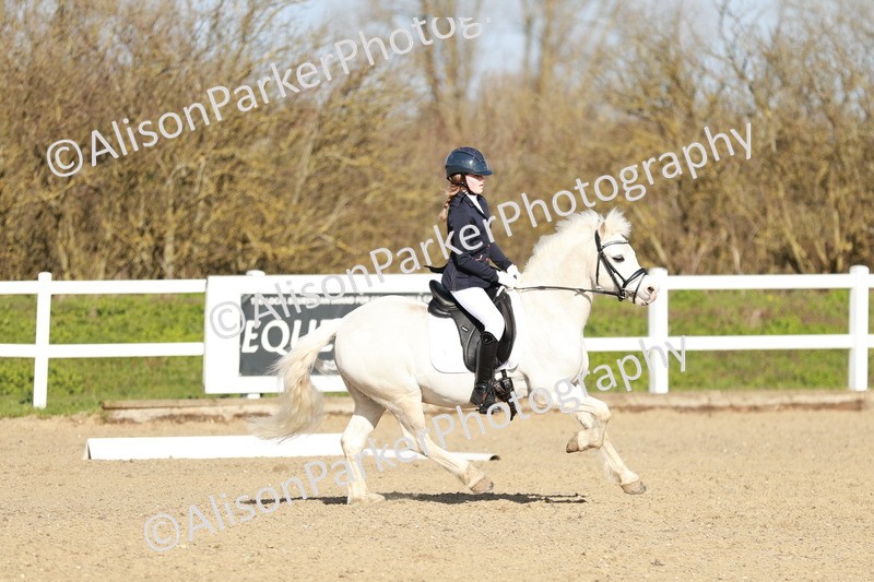 20260314-4523 - DR4 - Prelim 2