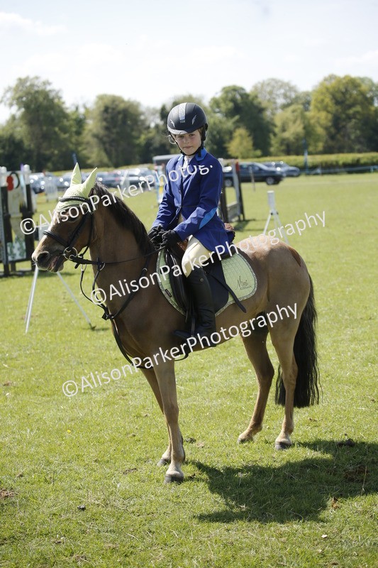 20250427-2376 - Class 13 - Novice Jumping 60cm