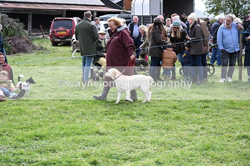 WJ6_8279 - Class 4 Prettiest Bitch