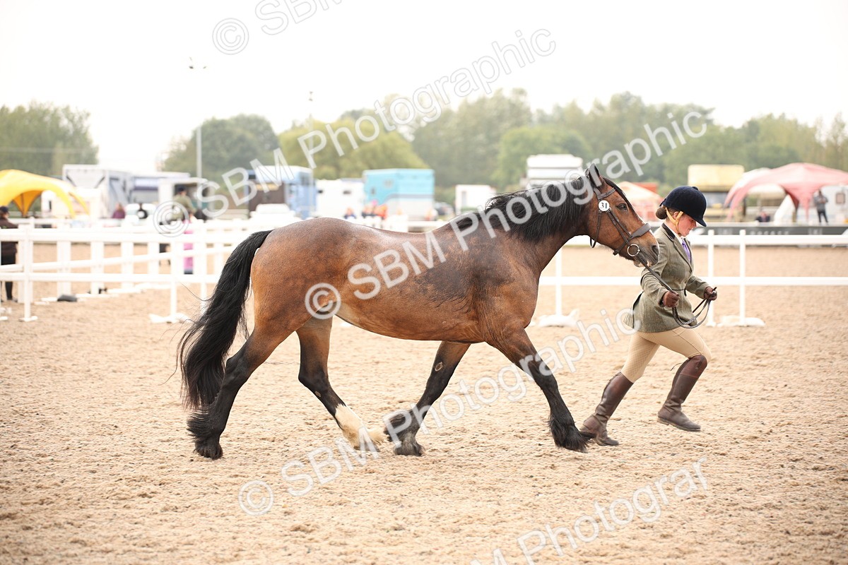 SBM_21460 - Class 706 - IH  Veteran