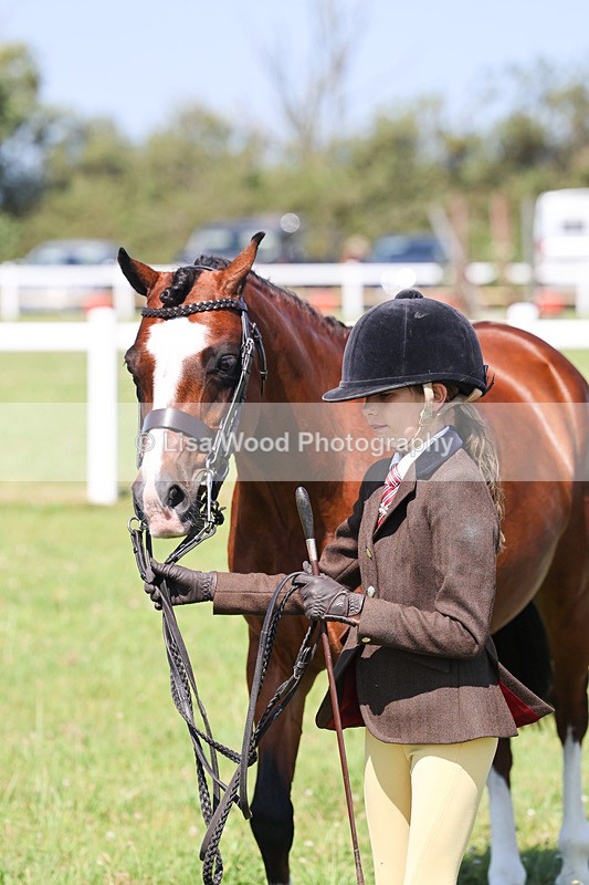 IMG_2038 - Class 34: Show Hunter Pony 153cm and under
