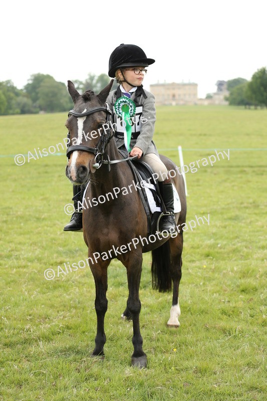 20250517-0623 - Class 20 - Beginners Working Hunter