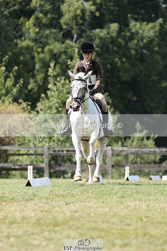 250823A-132027-31290 - Arena D