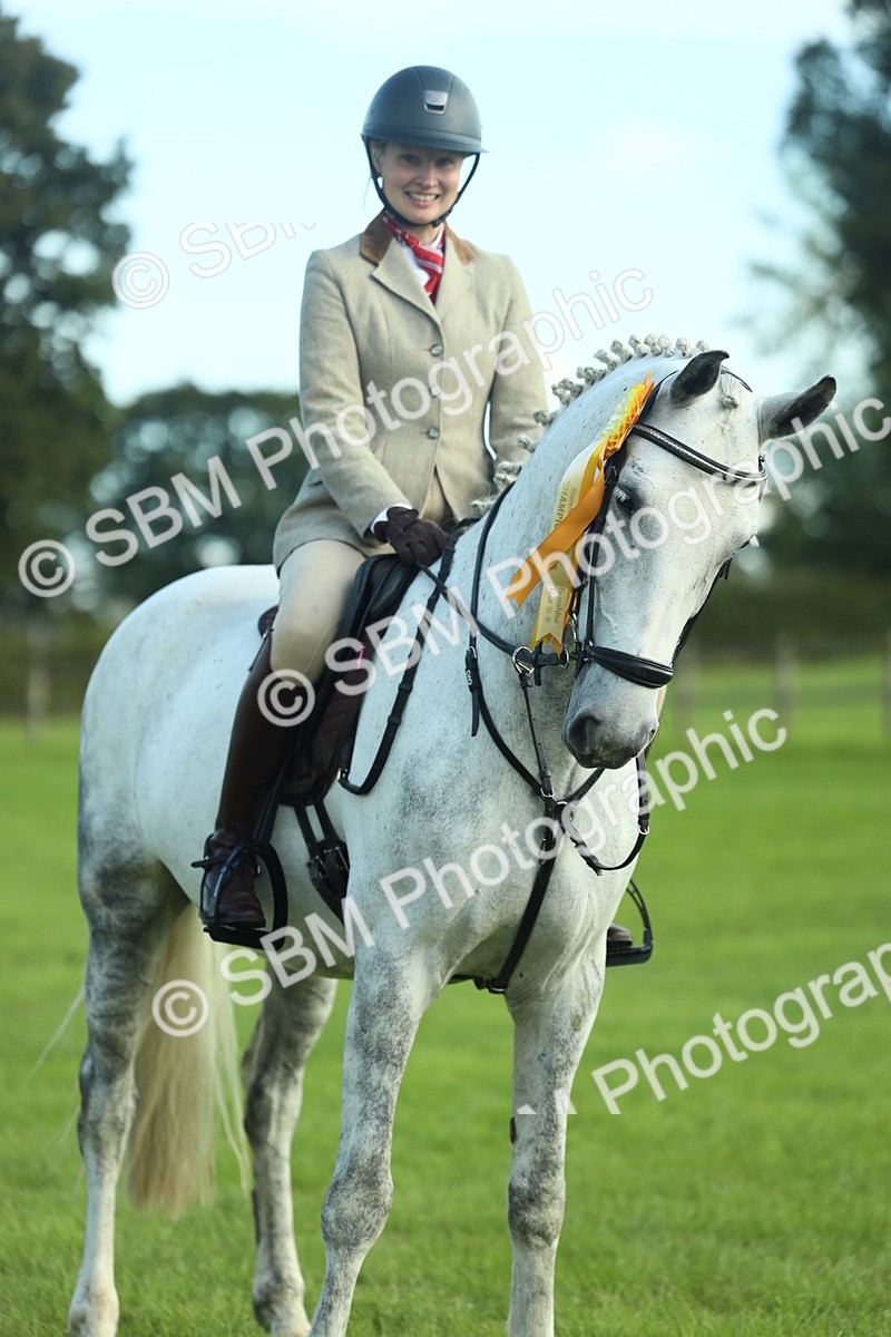 SBM_49956 - S32 - Novice & Newcomers Working Hunter