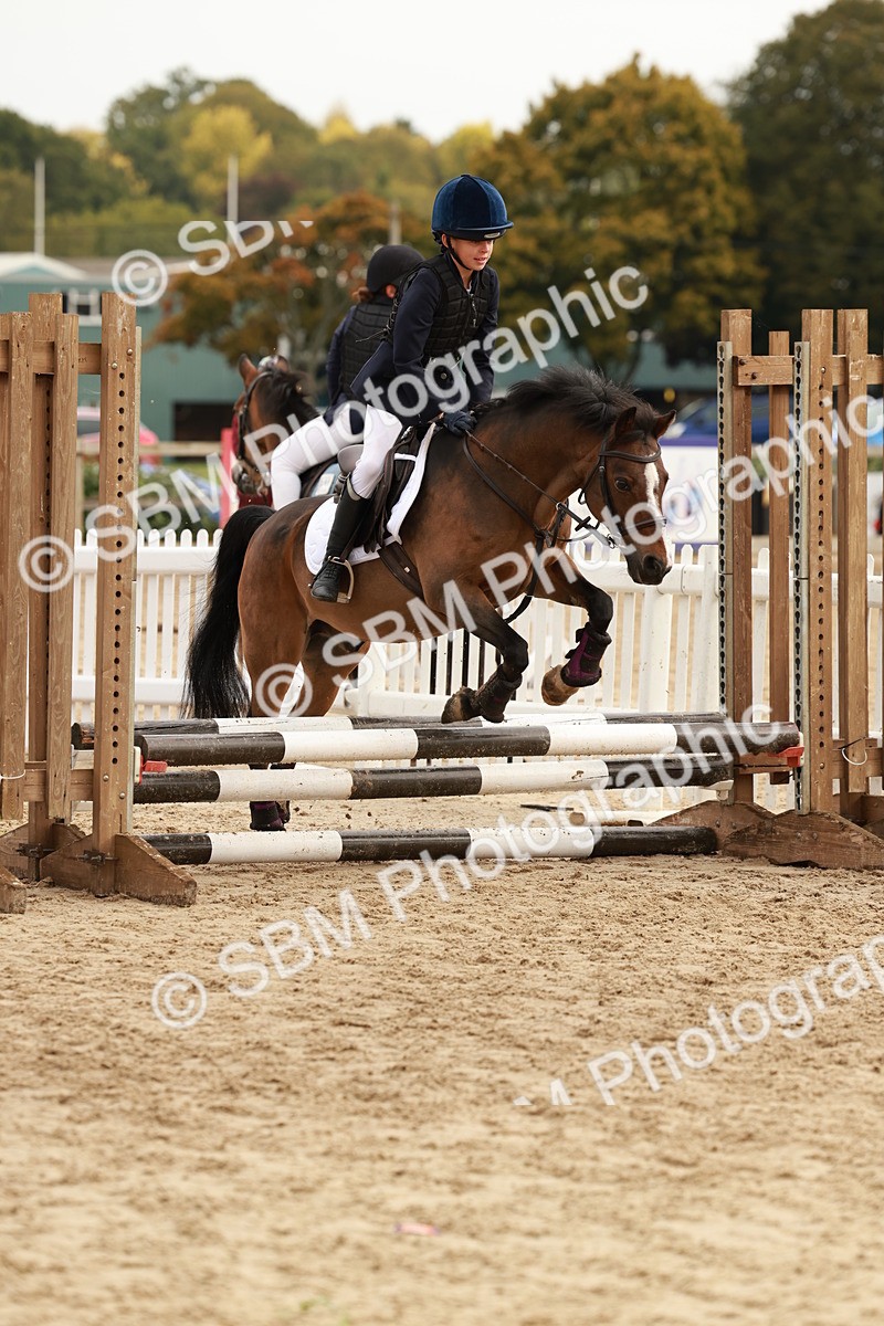 SBM_57787 - J11 - Junior Pony 50cm Championship