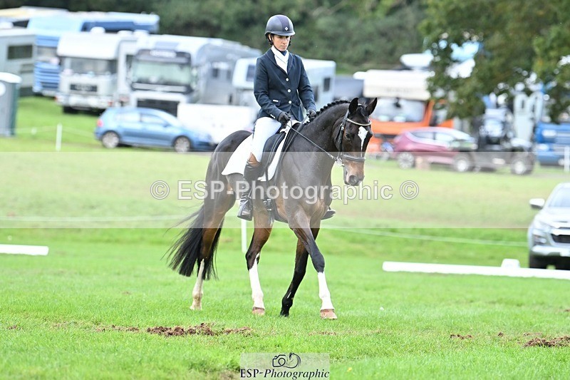 231020-153519-11508 - 687-VLOVE.D.OR.LY-Hani.Milstein-DR