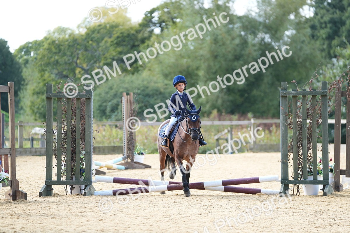 SBM_64613 - J2 - Mini Tour Junior Pony 30cm Championship