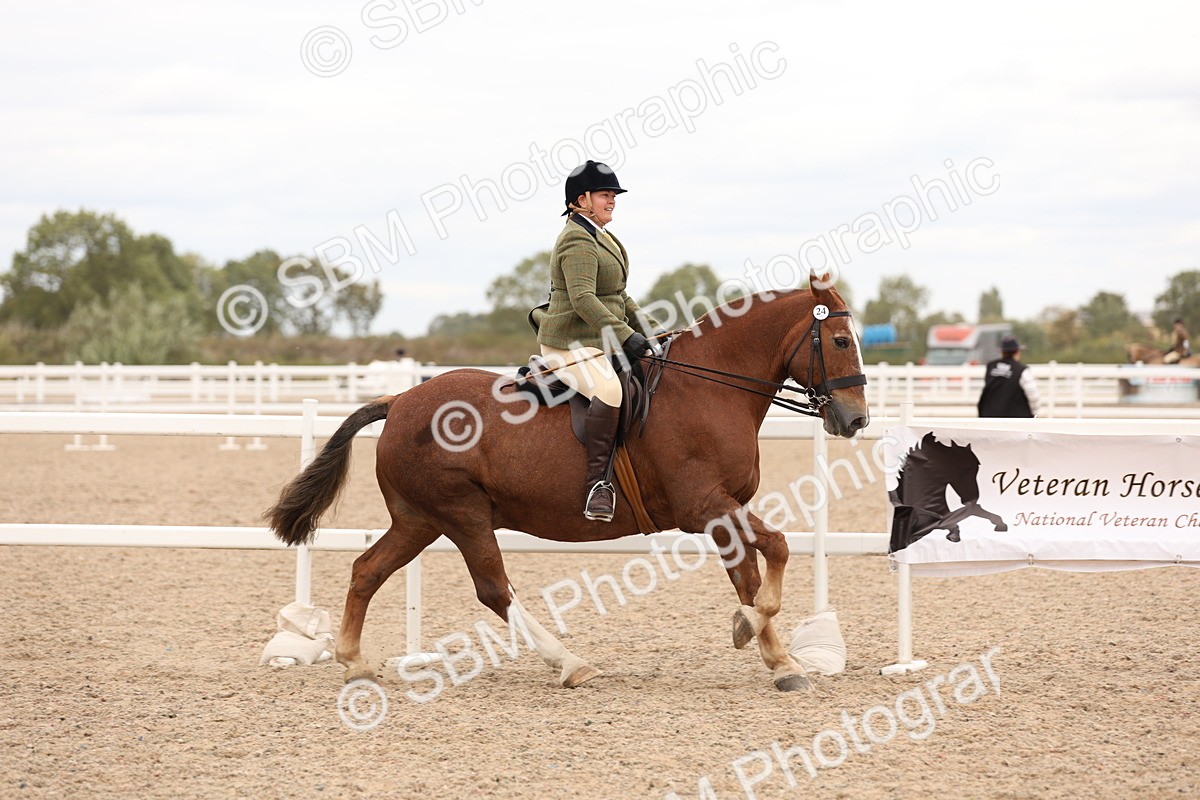 SBM_19550 - Class 215 - Ridden Show cob