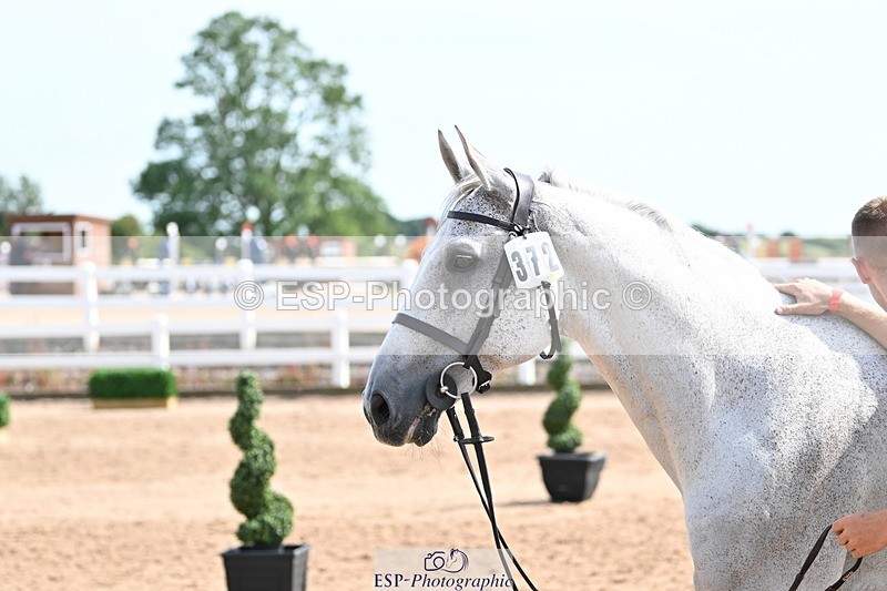 240717A-155132-03114 - Trot Up 3pm to 4pm