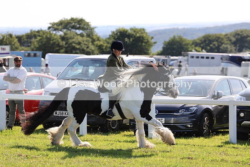 IMG_1560 - Class 30: Ridden Native/Trad Coloured Pony