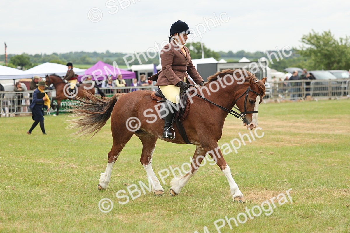 SBM_07206 - Class 76-77 - Ridden M&M Welsh Ponies