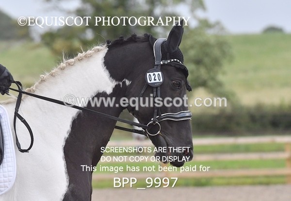 BPP_9997 - PRELIM 4 Q