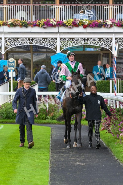 130724-Race 2-Starlust-7121 - Race 2 2.35pm John Smith's City Walls Stakes