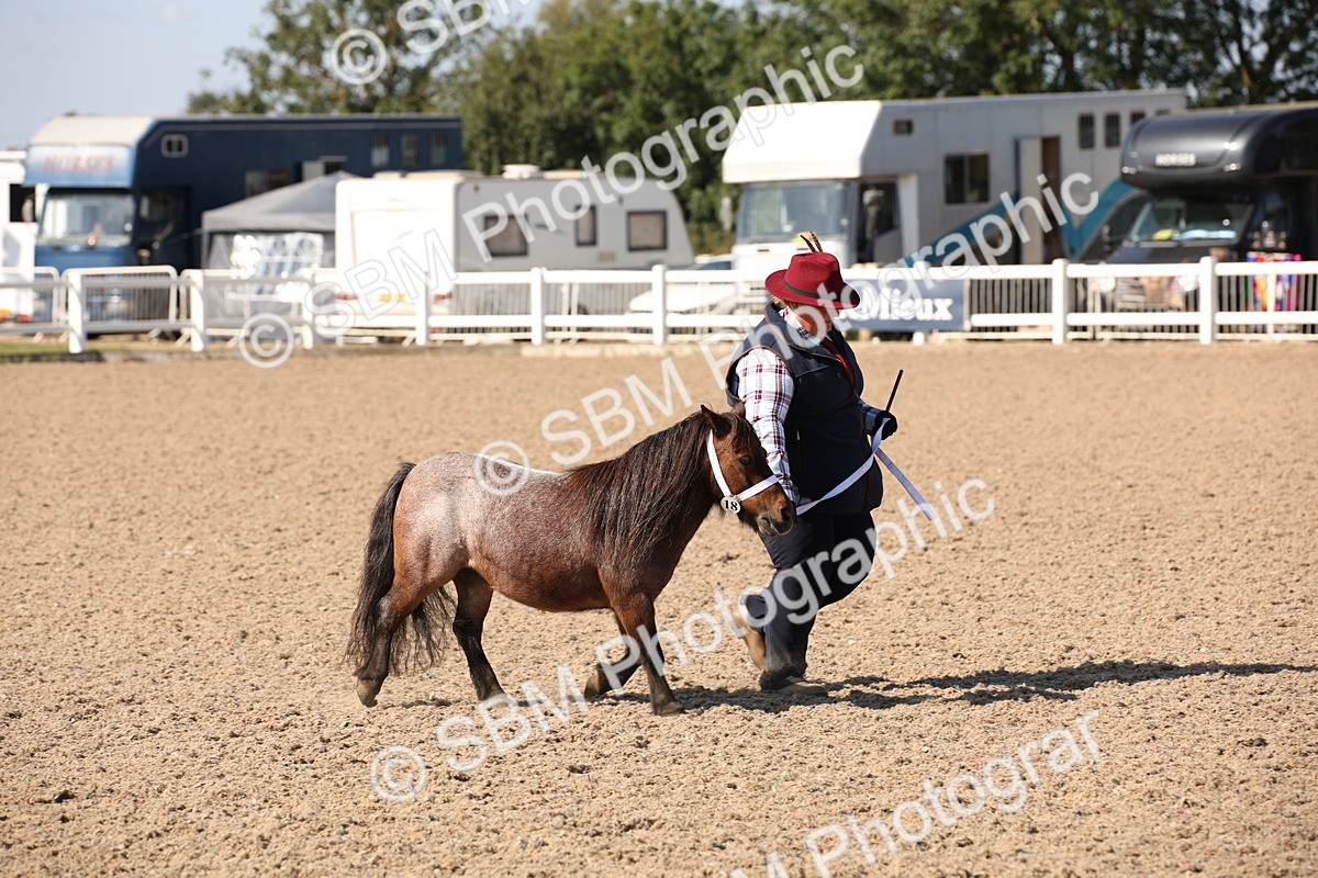 SBM_02769