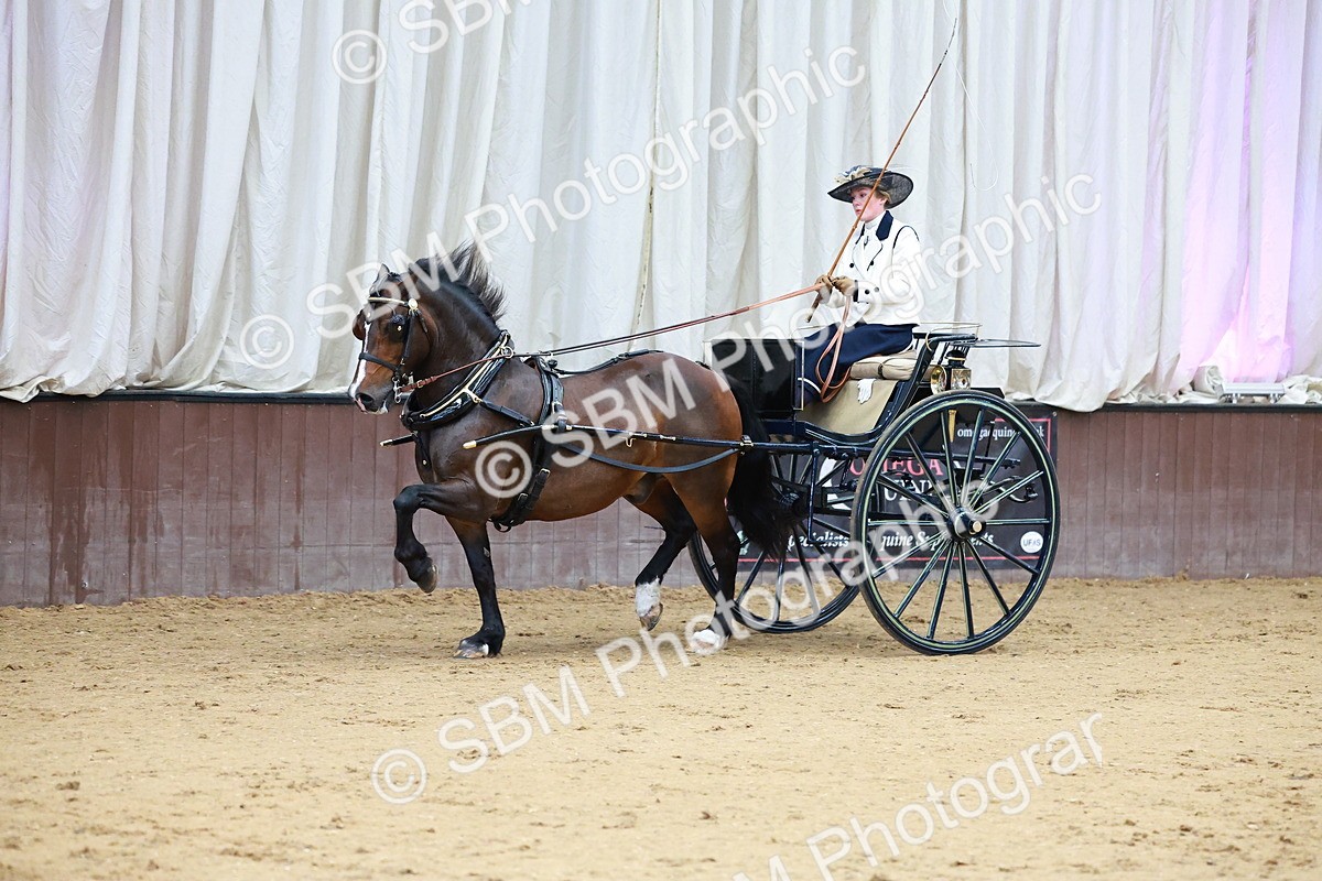 SBM_000178 - Class 3 - Alison Thomas Memorial Lady Whip