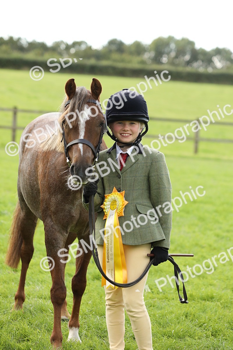 SBM_62871 - S46 - Mountain & Moorland In Hand Small Breeds