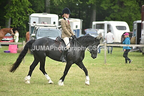 DSC_8398 - Rings 1 & 2