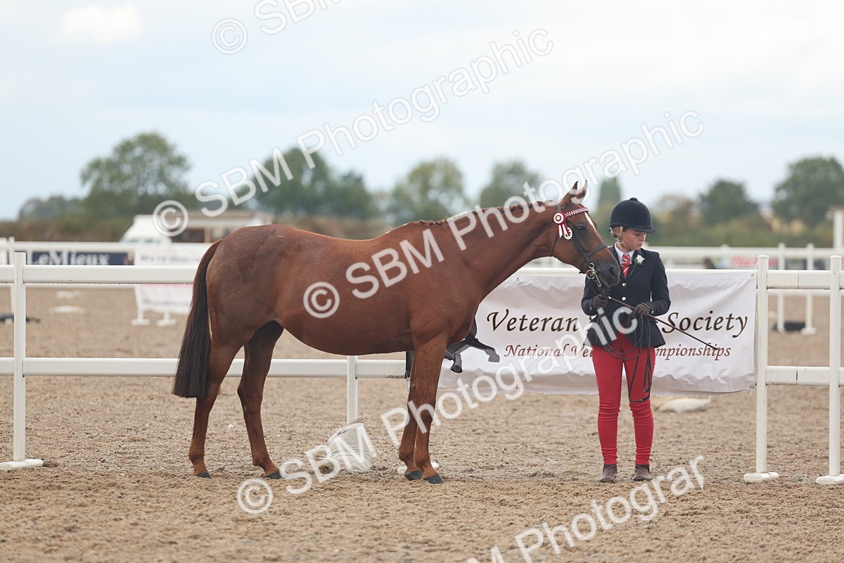 SBM_08443 - Class 29 - IH Veteran Pony