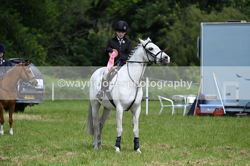 WJ7_1839 - Class 9 Pony Club Pony