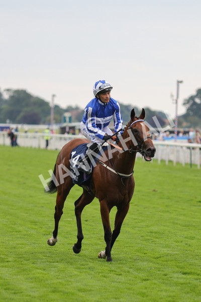 yr20082021r4-107 - Race 4 3.35pm Coolmore Wootton Bassett Nunthorpe Stakes (British Champions Series Race)