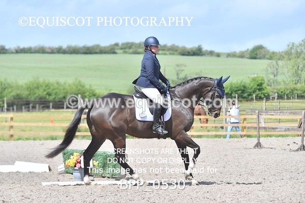 BPP_0530 - MFS NOVICE