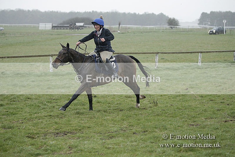 PtP 150320 0069 - New Forest Point-to-Point Larkhill 15/03/20
