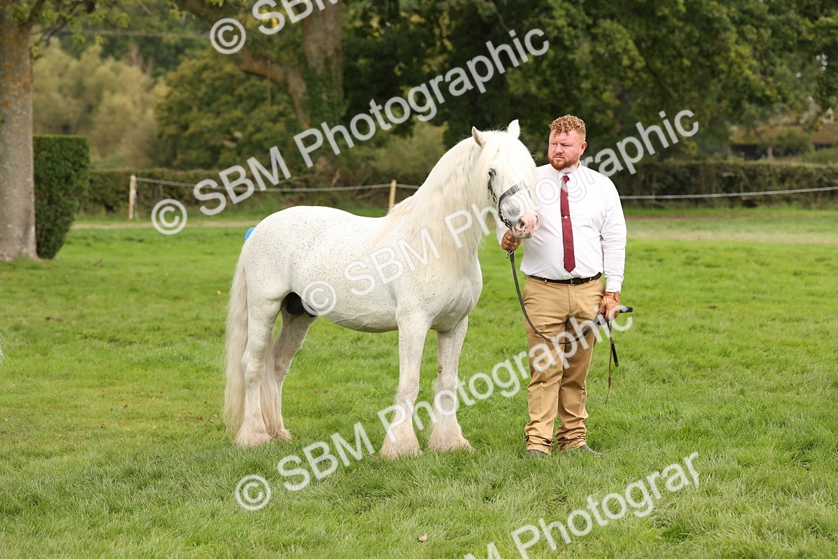 SBM_59359 - S57 - Traditional Cob In Hand