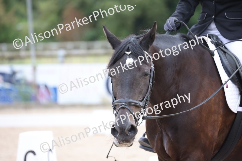 20250706-0093 - Class 9 - MQ Open Prelim Test 3