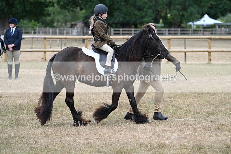 WJ7_6635 - Class 1 Lead Rein Pony