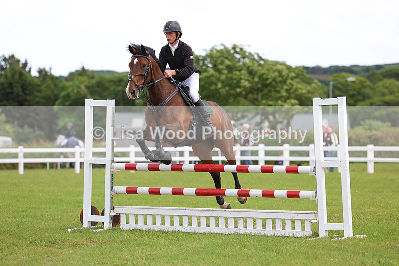 3E7A7778 - Class 13: Senior British Novice/90cm open